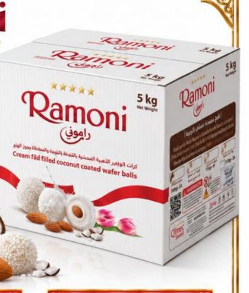 Ramoni coconut wafer balls bulk box 5000 g